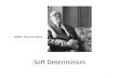 Determinists on free will - Langara College2019/11/15  · Soft determinism •Soft determinism combines two claims: i. Causal determinism is true ii. Humans have free will • N.B.