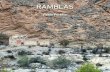 RAMBLAS - CARMestaticoarchivo.carm.es/adjuntos/DOC24580881313_365_Ramblas-P… · Barrancos, ramblas y cursos de agua del Sureste Estas fotografías de barrancos, ramblas y ríos