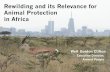 Rewilding and its Relevance for Animal Protection in Africa · 2020. 9. 14. · o Karura Forest, Kenya o Urban forest of 2,570 acres in Nairobi, Kenya o Planned development cancelled