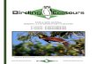 PAPUA NEW GUINEA: BIRDING ATTENBOROUGH’S PARADISE · 2020. 10. 14. · Papua New Guinea (PNG) is undoubtedly a birder’s paradise. Thirty-four birds-of-paradise (BoPs) live on