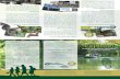 ROTARY MEMORIAL TRAIL - Strathroy-Caradoc · This outdoor adventure guide developed in partnership with: Proudly supported by the municipal Progress Through Partnership initiative