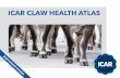 ICAR CLAW HEALTH ATLASThe ICAR Functional Traits Working Group (ICAR WGFT) is particularly active and has focused on a range of very important traits in dairy cattle including: fertility,