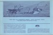 The Delta Caribou Herd, 1950 through 1982: Caribou-Wolf ... ... Numbers of caribou in the Delta caribou