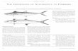THE IMPORTANCE OF SYSTEMATICS TO FISHERIES · 2015. 7. 8. · THE IMPORTANCE OF SYSTEMATICS TO FISHERIES Short examples of the important role of systematics to fisheries management