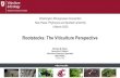 Rootstocks: The Viticulture Perspective Michelle M. Moyer Associate Professor Viticulture Extension