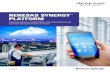 RENESAS SYNERGY PLATFORM · 2019. 10. 13. · API so you can focus on differentiating your product. Get to market faster and easier with Renesas Synergy™. As the first fully qualified