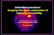 Unbridled passions: Imaging the brain substrates of ......Jan 06, 2020  · Unbridled passions: Imaging the brain substrates of relapse vulnerability. Brief Research Overview. Anna