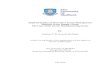 Andreas C.R. Baresel-Bofinger - White Rose University Consortiumetheses.whiterose.ac.uk/17985/1/GSCM in Greek... · 2017. 8. 11. · Andreas C.R. Baresel-Bofinger A thesis in fulfilment