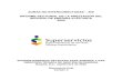 ZONAS NO INTERCONECTADAS ZNI INFORME SECTORIAL DE LA ...€¦ · zonas no interconectadas – zni informe sectorial de la prestaciÓn del servicio de energÍa elÉctrica 2020 superintendencia