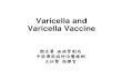 Varicella and Varicella Vaccine · 2012. 11. 13. · Varicella Zoster Virus ... following MMR • No increased risk if varicella vaccine given simultaneously or more than 30 days