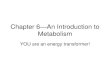 Chapter 6—An Introduction to Metabolism · 2018. 10. 10. · Catabolic vs. Anabolic • Catabolic pathways— –Release energy by breaking down complex molecules to simpler ones