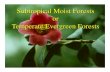 Subtropical Moist Forests or Temperate Evergreen Forests · 2015. 2. 5. · Subtropical Moist Forests!! south Japan, Taiwan, southeastern China!! eastern Australia, North Island -