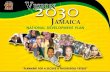 VISION 2030 JAMAICA - NATIONAL DEVELOPMENT PLAN · • For Vision 2030 and MTF, out of 115 targets 89 targets fully or partially reflected (77%) • Moving from planning to action