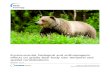 Environmental, biological and anthropogenic effects on grizzly … · 2017. 9. 16. · Grizzly bears (Ursus arctos L.) are an excellent species for studying the effects of resource