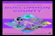 A Snapshot of Roscommon County...Year Roscommon County Population Michigan Population 2000 25,469 9,938,444 2013 24,281 9,883,640 » The population in Roscommon has decreased from