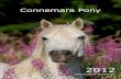 Connemara Pony · 2016. 1. 3. · Connemara Pony Interessengemeinschaft e.V. Geschäftsstelle: Annette Korbanka Englpolding 11 85461 Bockhorn Fon 08122 - 228 55 41 Fax 08122 - 228