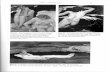 Winthrop Universityfaculty.winthrop.edu/stockk/Modernism/vol 2 prim 2.pdfoil on canvas, 92 x 73 cm. Cairo, Mohammed Mahmoud Khalil Bey Museum. Photo: Chant Plate 22 Paul Gauguin, Dans