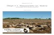 Rapport - Sydsvensk Arkeologi AB - Kunskap om det förflutna · 2020. 2. 6. · lanneolitikum kan vi, genom de arkeologiska lämningarna, se en intensifiering i nyttjandet av området.