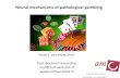 Neural mechanisms of pathological gambling Holst.pdf · 2018. 10. 22. · Pathological gambling: DSM-5 a behavioral addiction •DSM-5 to reclassify PG with ‘Addiction and Related