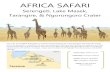 Serengeti, Lake Masek, Tarangire, & Ngorongoro Crater...Serengeti National Park For those who want to live out their ‘out of Africa’ dream, you can’t bypass a trip to the Serengeti.