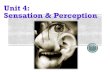 Unit 4: Sensation & Perception - Weeblymrsmarchman.weebly.com/.../sensation-perception_intro.pdf · 2018. 8. 31. · Unit 4: Sensation & Perception. With a Partner Make a guess: What