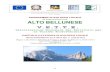 del Gruppo di Azione Locale ALTO BELLUNESE · 2013. 9. 26. · 63 Programma di Sviluppo Rurale per il Veneto 2007-2013 Asse 4-Leader PROGRAMMA DI SVILUPPO LOCALE del Gruppo di Azione