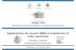 Applicazione dei sistemi MBR al trattamento di reflui industriali · 2013. 7. 19. · Claudio Lubello (Università di Firenze) Palermo, 4-5 Luglio 2013. Il mercato dei reflui industriali