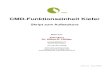 CMD-Funktionseinheit Kiefercmd-therapie.org/download/MFZ-Skript-5-2-edit.pdf · 2015. 5. 7. · Wirbelsäulenbereich, atypischer Gesichtsschmerz bis hin zu Dysfunktionen im Beckenboden
