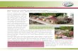 Azerca Medienservice Ausgabe 02/2007 · 2017. 10. 19. · Azerca Medienservice Ausgabe 02/2007 18. April Seite 1 Auf der Hitliste der belieb-testen Topfpflanzen stehen die Heidepflanzen,