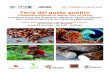 35272&2 Feria del gusto guajiro /2'(&2081,&$&,21(6 · 2015. 8. 3. · 35272&2Feria del gusto guajiro /2'(&2081,&$&,21(6 Complementando el sabor con el saber. FORDFOUNDATION V World