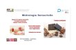 Métrologie sensorielle Qualimapa 2017©trologie... · 2017. 6. 8. · Evaluation sensorielle et design sensoriel Agro-alimentaire : Sens principaux : Visuel Olfactif -Gustatif Ouie-Toucher