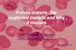 P.vivax malaria: the neglected malaria and why it matters...Kamini Mendis P.vivax malaria: the neglected malaria and why it matters MMV Stakeholders’ Meeting 6-8 November 2012, Delhi,