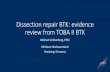 Dissection repair BTK: evidence review from TOBA II BTK · Tack® Implants • Four pre-loaded nitinol implants • 6mm deployed length • Each implant self-sizes to tapering BTK