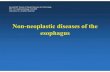 Non-neoplastic diseases of the esophagus...Reflux esophagitis- gross Figure removed due to copyright reasons. Please see: Rosai, Juan. Rosai and Ackerman's Surgical Pathology. 9th