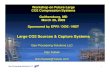 Large CO2 Sources & Capture Systems · 2019. 5. 20. · Gas Processing Solutions LLC 8 ExxonMobil Shute Creek Natural Gas (NG) Plant CO2 Capture & Compression for EOR Gas Processing