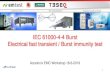 IEC 61000-4-4 Burst Electrical fast transient / Burst immunity test - … · 2019. 6. 27. · 4 Table 1- Test levels Test level IEC 61000-4-4: Ed3.0 (2012-4) The use of 5 kHz repetition