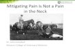 Mitigating Pain is Not a Pain in the Neck · • Ketoprofen (Anafen) • Flunixin (Banamine) • Meloxicam (Metacam) • Oral Meloxicam solution c) Sedatives such as xylazine (Rompun)
