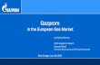 in the European Gas Market · 2018. 11. 5. · by Valery Nemov OOO Gazprom Export Deputy Head Contract Structuring and Pricing Directorate Novy Urengoy, June 19, 2017 . 1 Gazprom
