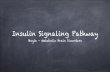 Insulin Signaling Pathway-part1pages.ucsd.edu/.../05-COGS163-Lecture-Insulin-signaling.pdf · 2020. 4. 18. · Insulin Signaling Pathway. Boyle – Metabolic Brain Disorders. Insulin