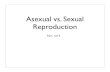 Asexual Sexual Reproduction ppt-7 - Weeblyleannortiz.weebly.com/uploads/8/2/7/7/8277852/asexual... · 2018. 10. 10. · Parthenogenesis Parthenogenesis is a form of asexual reproduction