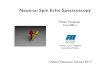 Neutron Spin Echo Spectroscopy · 2020. 6. 5. · The measurement principle of neutron spin echo spectroscopy Classical Description We start with the classical equation of motion