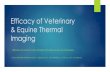 Efficacy of Equine Thermal ImagingTerminology Thermography (outdated) Telethermography (technically correct) IRT –Infrared Thermal Imaging DITI - Digital Infrared Thermal Imaging