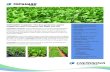 TOPGUARD® Fungicide—The best protecion against frogeye leaf … · 2014. 1. 29. · TOPGUARD has one of the longest disease control time-frames of any fungicide available which