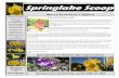 Springlake Scoop · 2020. 5. 18. · 3 Springlake Scoop March, 2020 Published Exclusively for the Residents of Springlake Community, Inc Want more recipes visit The Lunch BunchRecipes