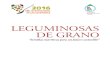 MIDAGRI | Gobierno del Perú - LEGUMINOSAS DE GRANO · 2016. 10. 19. · 4to lugar de importancia después del trigo, el maíz y el arroz (FAOSTAT; 2011, 2012). En América Latina