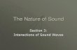 The Nature of Sound - Travellin...The Nature of Sound Author sarah.irwin Created Date 7/22/2011 6:19:11 AM ...
