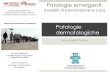 Patologie dermatologiche - Medici Senza Frontiere Italia · 2015. 1. 9. · Patologie emergenti/urgenti (prevalentemente infettive: scabbia, pidocchi, ftiriasi, impetigine, ectima,