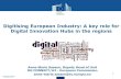 Digitising European Industry: A key role for Digital ...1 Digitising European Industry: A key role for Digital Innovation Hubs in the regions • Anne-Marie Sassen, Deputy Head of