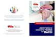 The risk MArsi - Comfort Release · 2020. 9. 4. · MeeT MArsi // MedicAl Adhesive-relATed skin injury (MArsi) A medical adhesive is “a product used to affix an external component