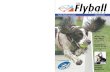 6199 Flyball Record · 2018. 4. 10. · Sally Pearce & Bazil on gaining FD Advanced Dave Biddulph & Spencer on gaining both FD Graduate & Advanced Anne Alderman & Breeze on gaining